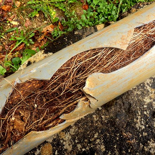 Same Day Drain Sewer & Rooter Pros Across Andover